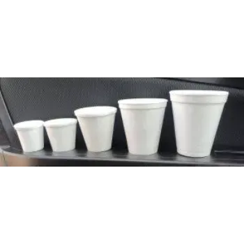 Thermocol Glasses In Many Sizes thermocol-glasses 1-5478058-80854.webp